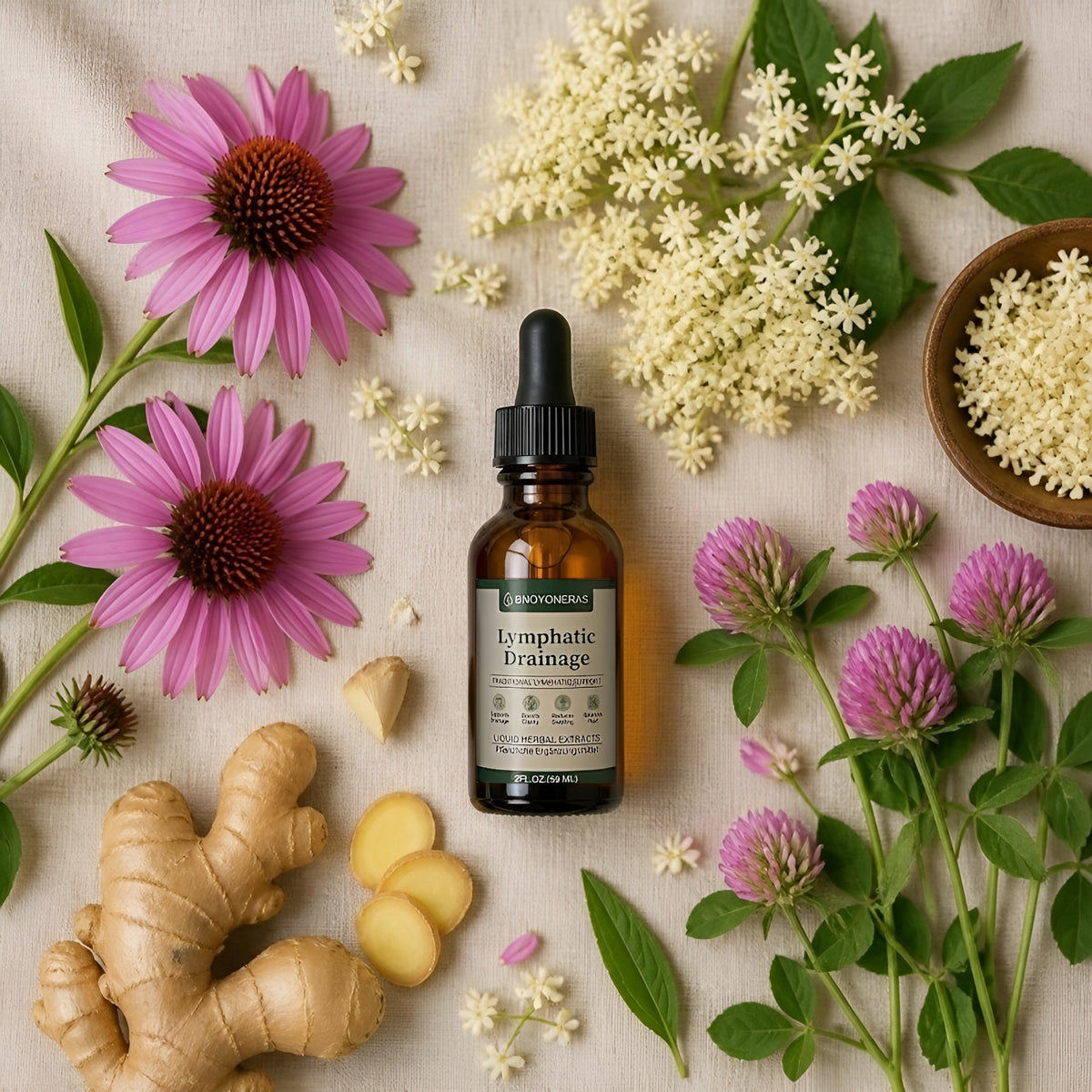 Gotas Lymphatic Drainage · Drenaje Linfático